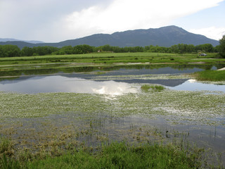 RIO TIETAR RAMACASTAÑAS