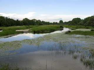 RIO TIETAR RAMACASTAÑAS