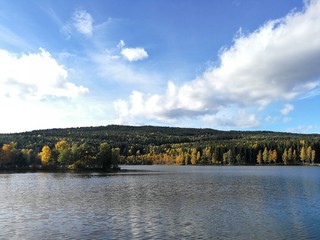 Fototapeta premium cof