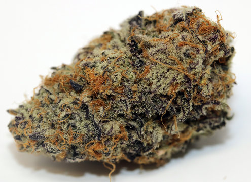 Purple Punch