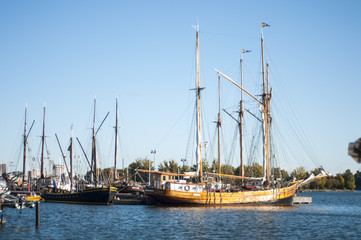 Fototapeta na wymiar Sailing ships in the bay on a sunny day