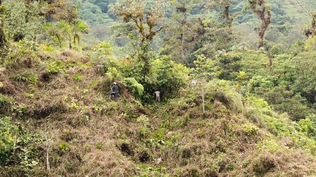 Time lapse ef colonists deforesting a hillside in the. Amazon, Napo province, Ecuador