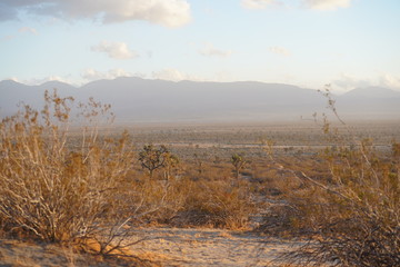 California High Desert