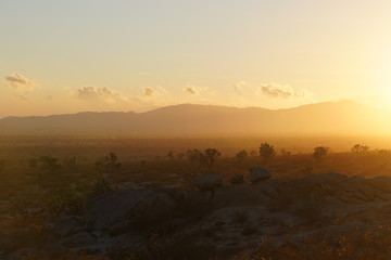 The California High Desert