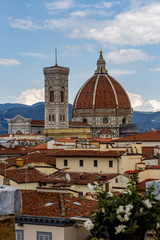 Fototapeta na wymiar Vertical Florence skyline with Duomo