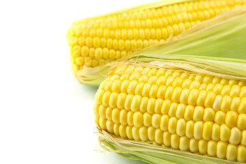 An ear of corn isolated on a white background