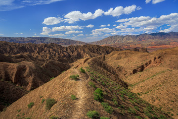 Yellow River Stone Forest of Jingtai, Gansu Province China. National Geopark, Danxia Landform. China travel, famous natural exotic landscape. Sandstone towers, large canyon dry desert valley