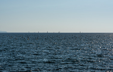 Buoys and yachts in the bay of Naples Italy