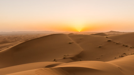 Fototapeta na wymiar in the desert