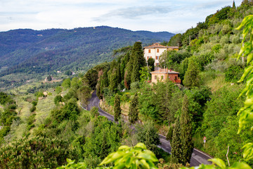 Road up Tuscan hill