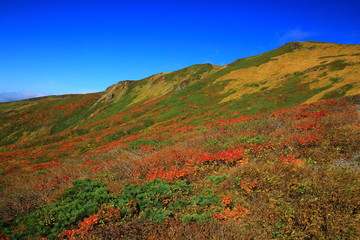 紅葉の栗駒山