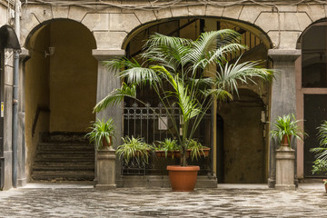 Courtyard with palms Naples Italy