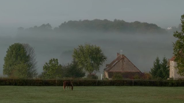 French Countryside 2