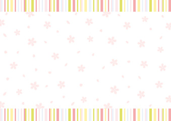 桜　ストライプ背景