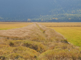 Autumn colors in the Creston region of British Columbia