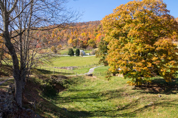 Peaceful Farm in the Valley in Autumn