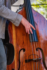 The Upright Bass Player © Dave