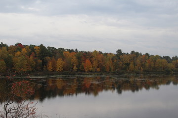 Obraz premium Fall water scene