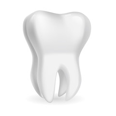 Vector drawning teeth. Isolated on white background.