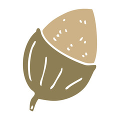 flat color style cartoon acorn