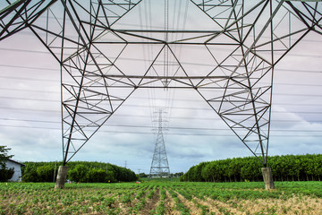 Transmission line of electricity to rural field, Electricity pole on agriculture area, High voltage electricity pole on bright sky clouds background, Electricity tower with nature landscape