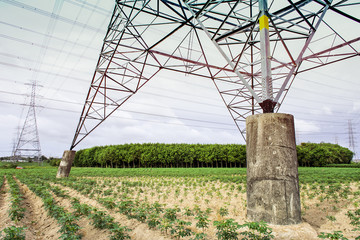 Transmission line of electricity to rural field, Electricity pole on agriculture area, High voltage electricity pole on bright sky clouds background, Electricity tower with nature landscape