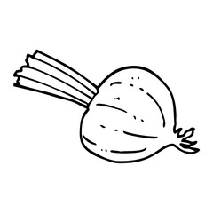 line drawing cartoon fresh beet