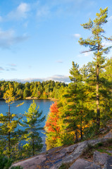 Beautiful View Over Lake in Autumn