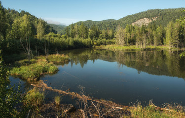 Fototapeta na wymiar lake in forest park Ergaki.