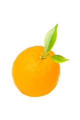 Orange fruit on white background