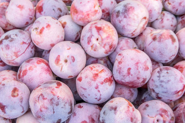 Fresh pluots background