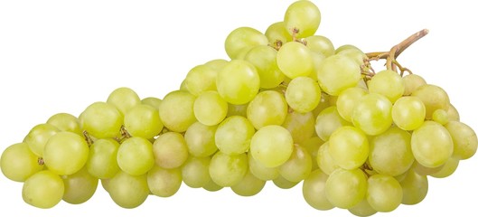 White Grape Cluster - Isolated