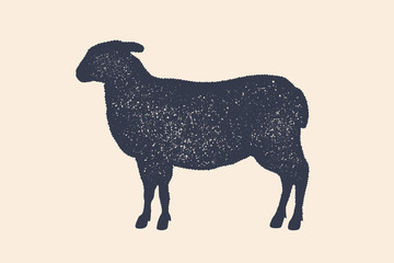 Lamb, sheep. Vintage logo, retro print, poster for Butchery meat shop, sheep silhouette. Logo template for meat business, meat shop. Isolated silhouette sheep, white background. Vector Illustration