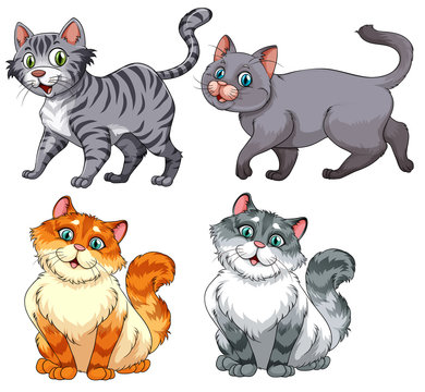 Set of diffrent cat charater