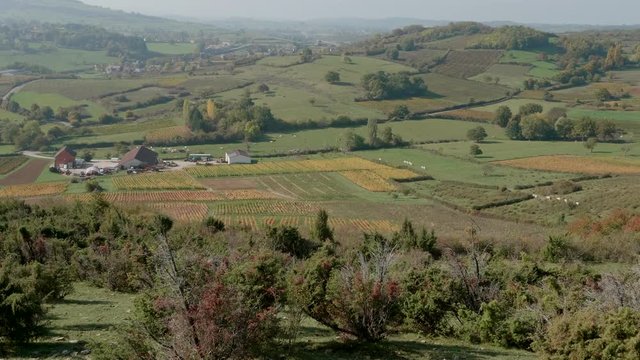 French Countryside 4