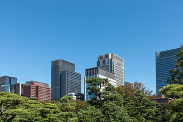 Fototapeta na wymiar (東京都ｰ都市風景)内堀通り側から望む丸の内オフィスビル１６