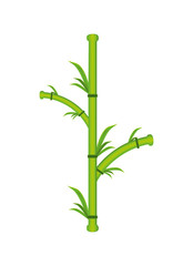 Naklejka na ściany i meble bamboo plant natural icon