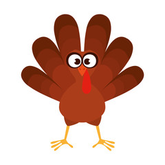 cute turkey thanksgiving character