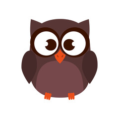 cute owl bird character