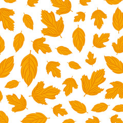 Fototapeta na wymiar autumn leafs seasonal pattern