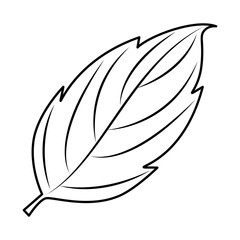 autumn leaf seasonal icon
