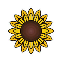 beautiful sunflower isolated icon