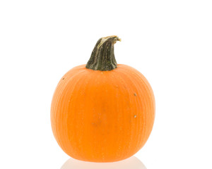 pumpkin isolated on white background