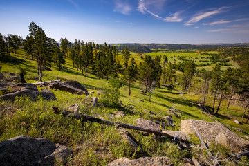 Fototapeta premium The Red Bed Trail at Devils Tower National Monument in Wyoming