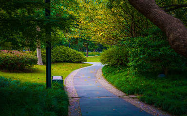 Stone road paved in the park