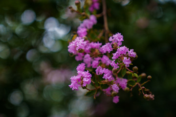 Captured in Hangzhou Xixi Wetland scenery