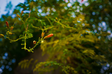 Captured in Hangzhou Xixi Wetland scenery
