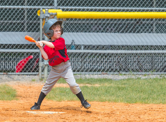 Baseball Player Ready to Swinging at Pitch © J. Novack