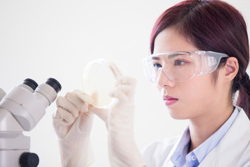 woman scientist take petri dish