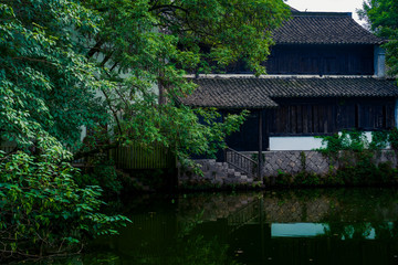 Captured in Hangzhou Xixi Wetland scenery